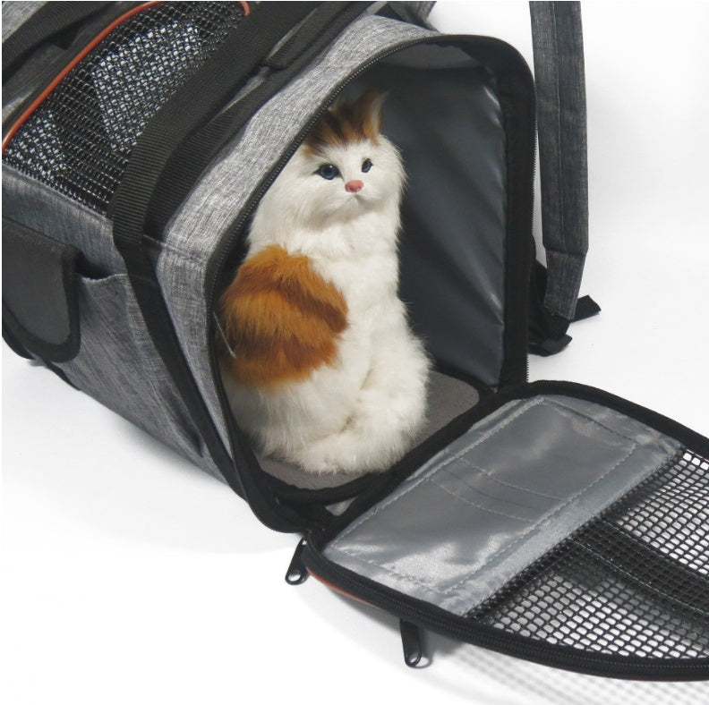 Kitten sitting calmly inside a pet carrier with the front mesh door open