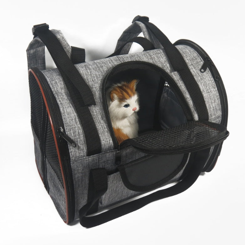 Kitten looking out through the front mesh door of a secure pet carrier