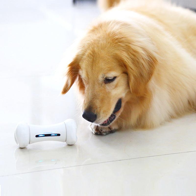 Pet Toys