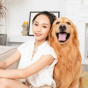 Shop for Dogs