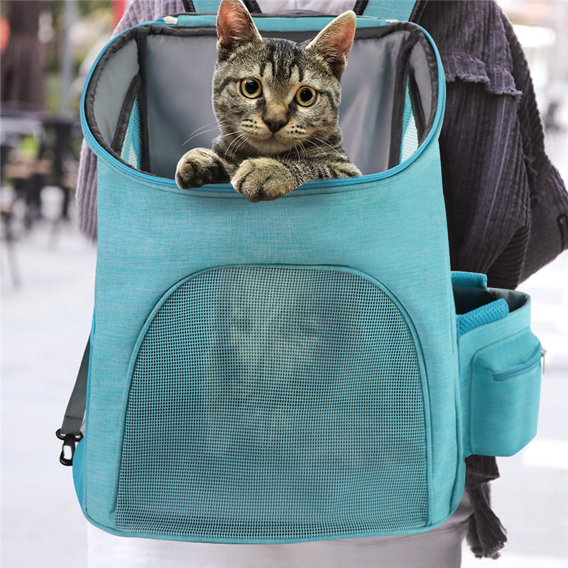 Tabby cat looking out of the top opening of a teal mesh pet backpack carrier
